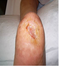 Description of Image 2